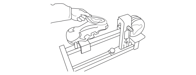 idmatch Foot Lab